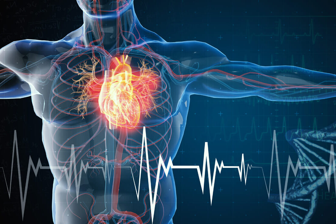 heart rate variability HRV new updated explained